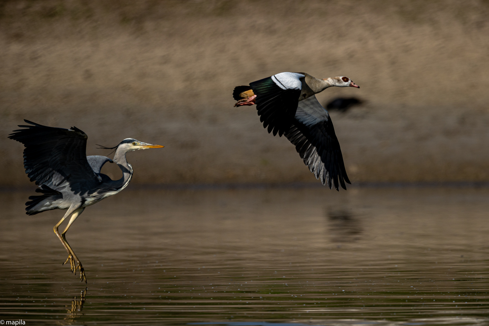 ——— Überflug ———