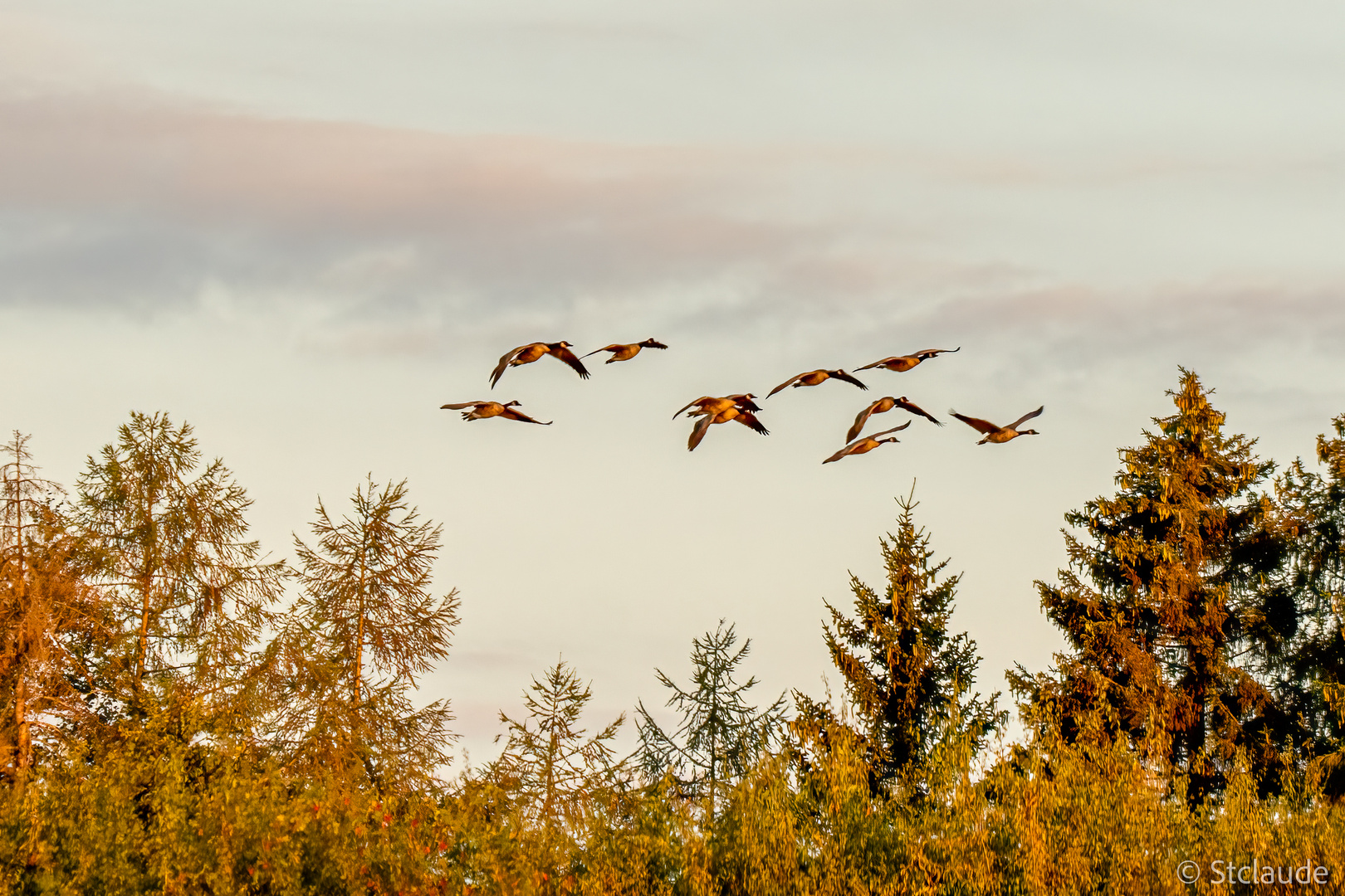 überflug