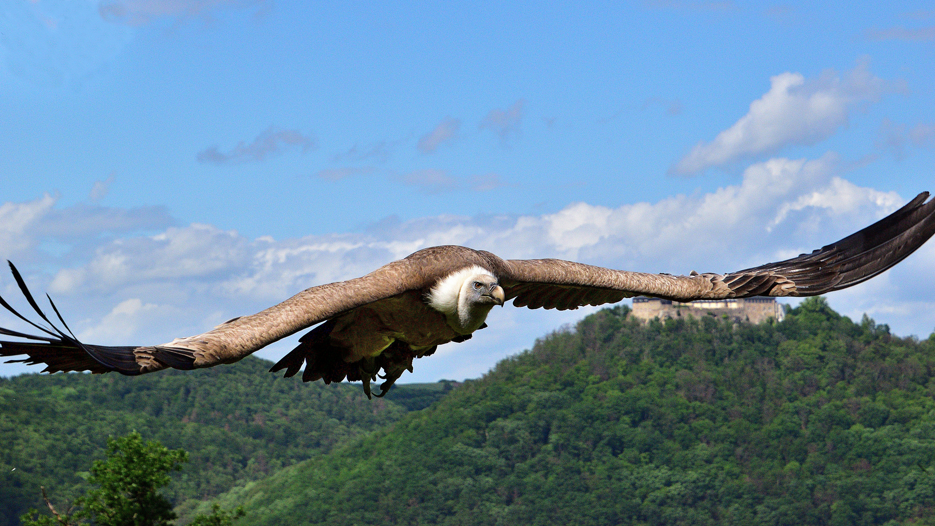 Überflug