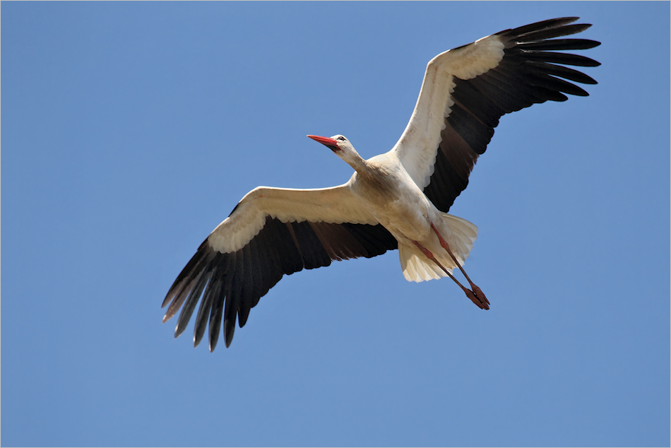 Überflug