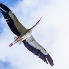 Überflug   (aber kein Planespotting)