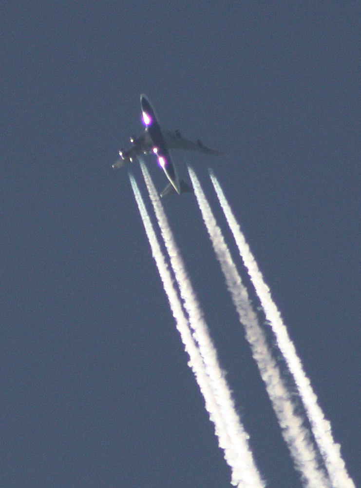 Überflug am Steinhuder Meer #2