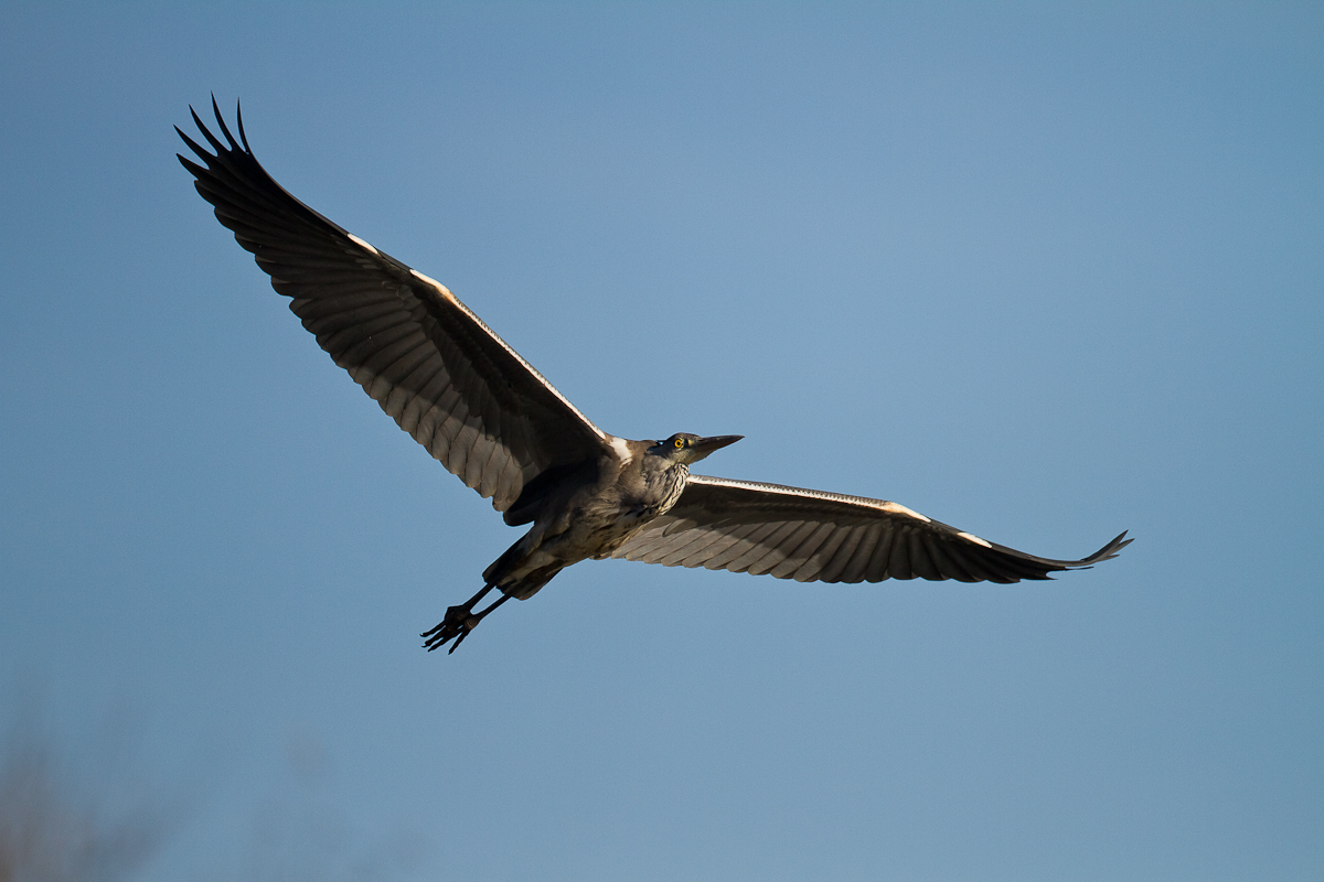 Überflug