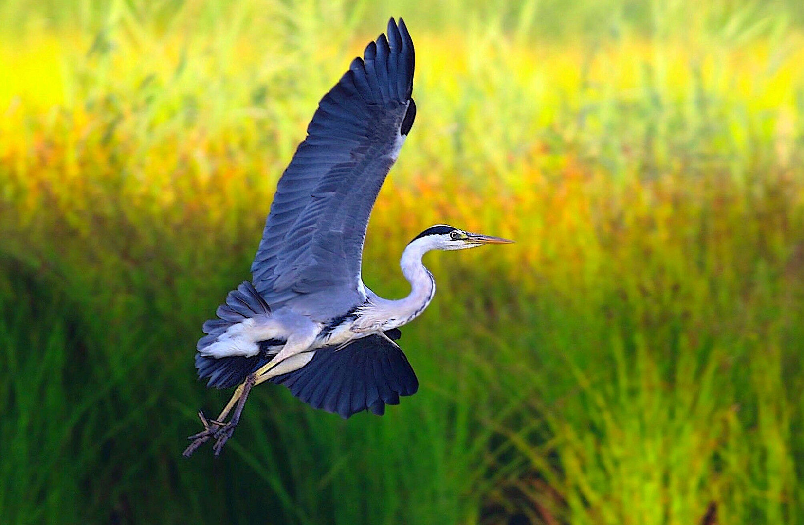 Überflug