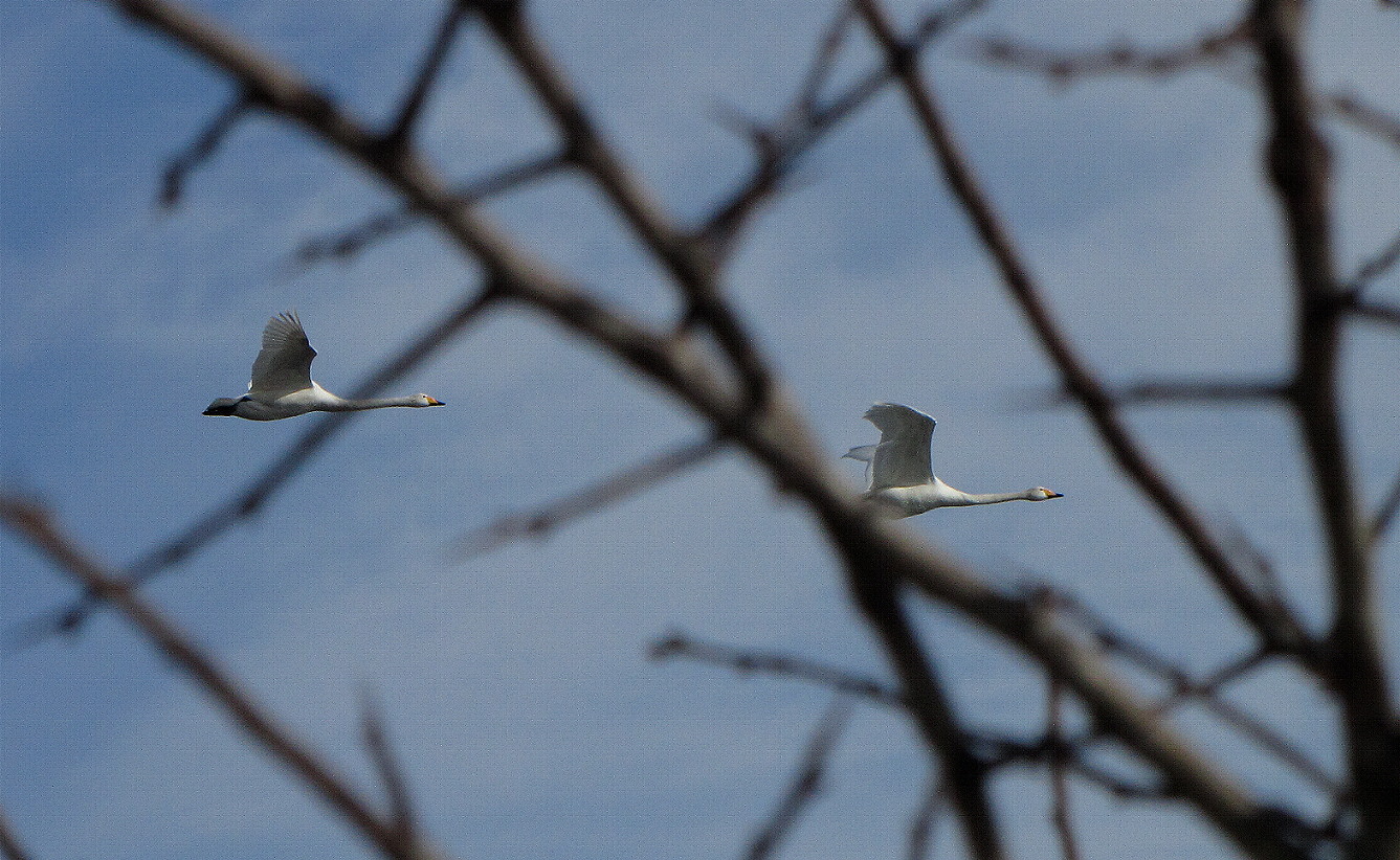 Überflug