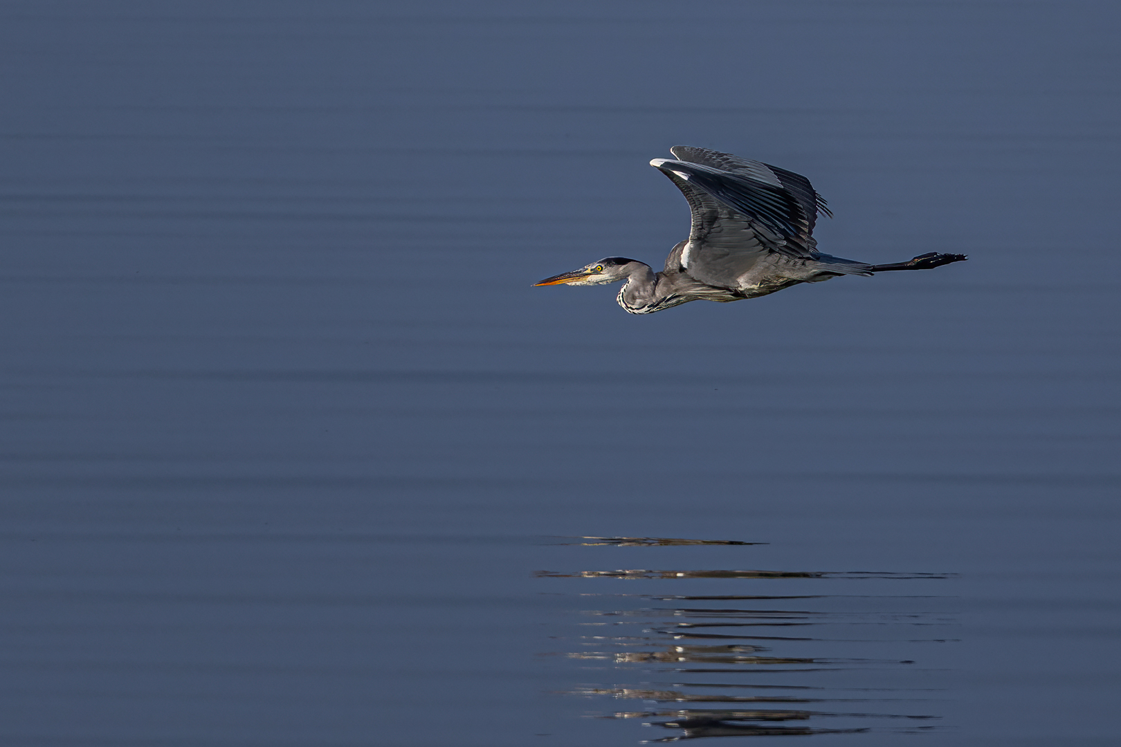 Überflug