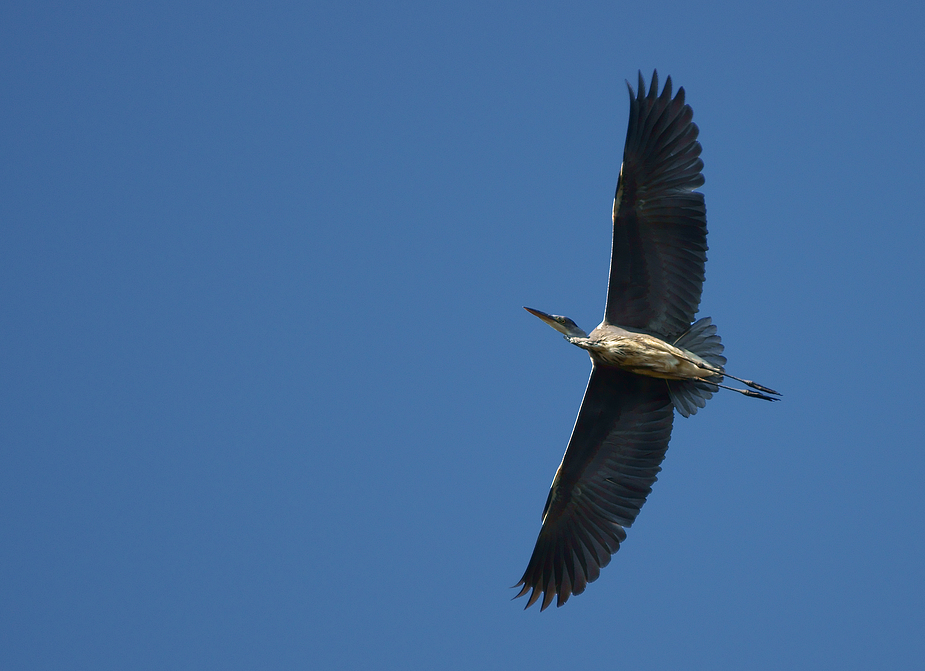 Überflug