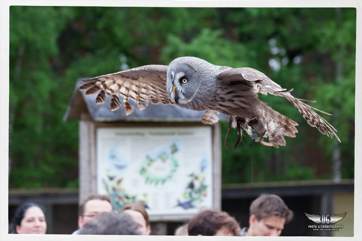 Überflug