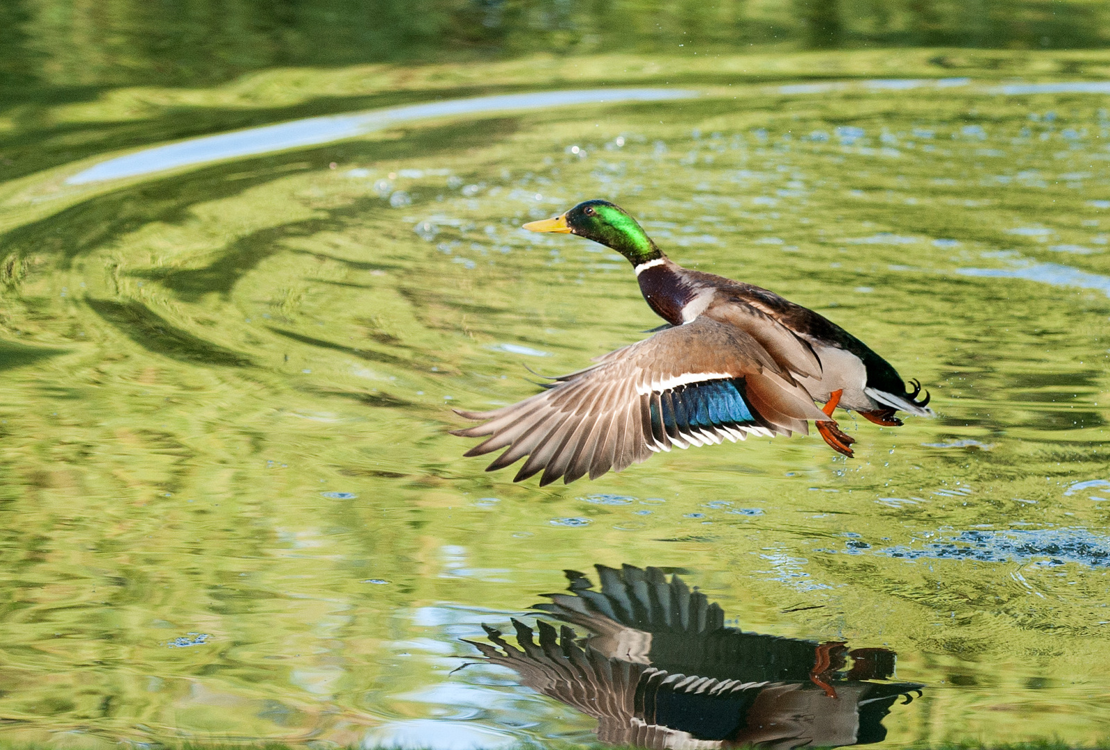 Überflug