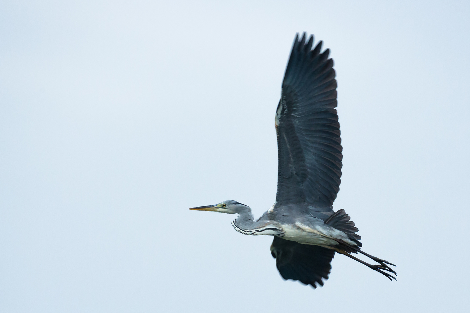 Überflug