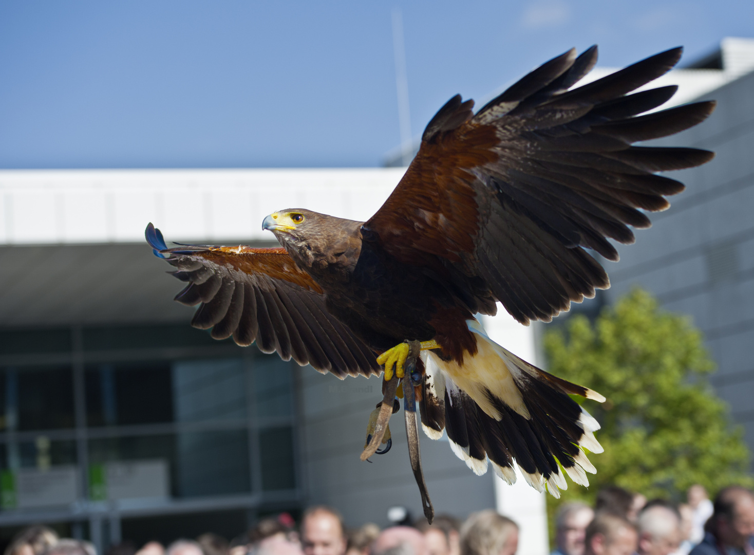 Überflug