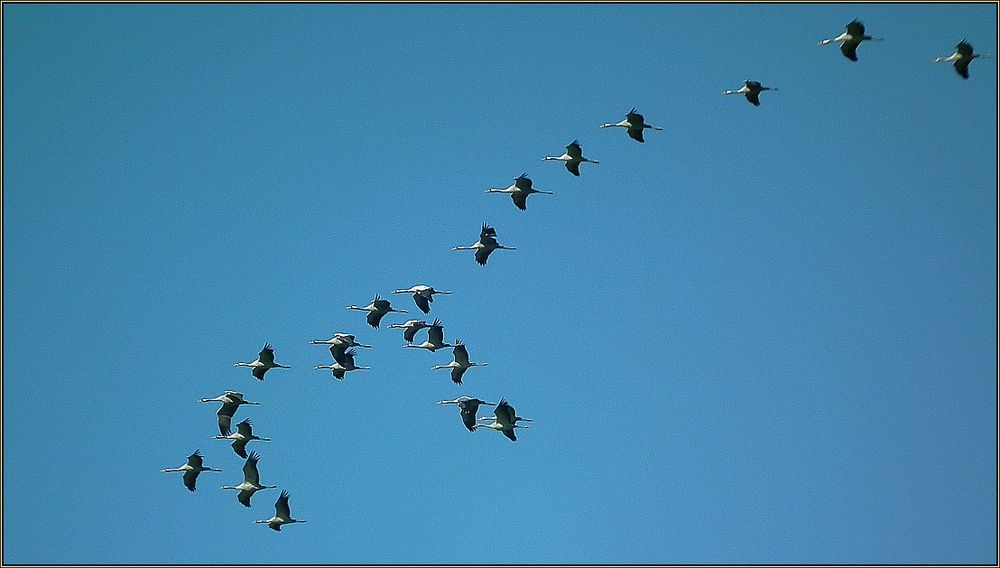 Überflug in großer Höhe