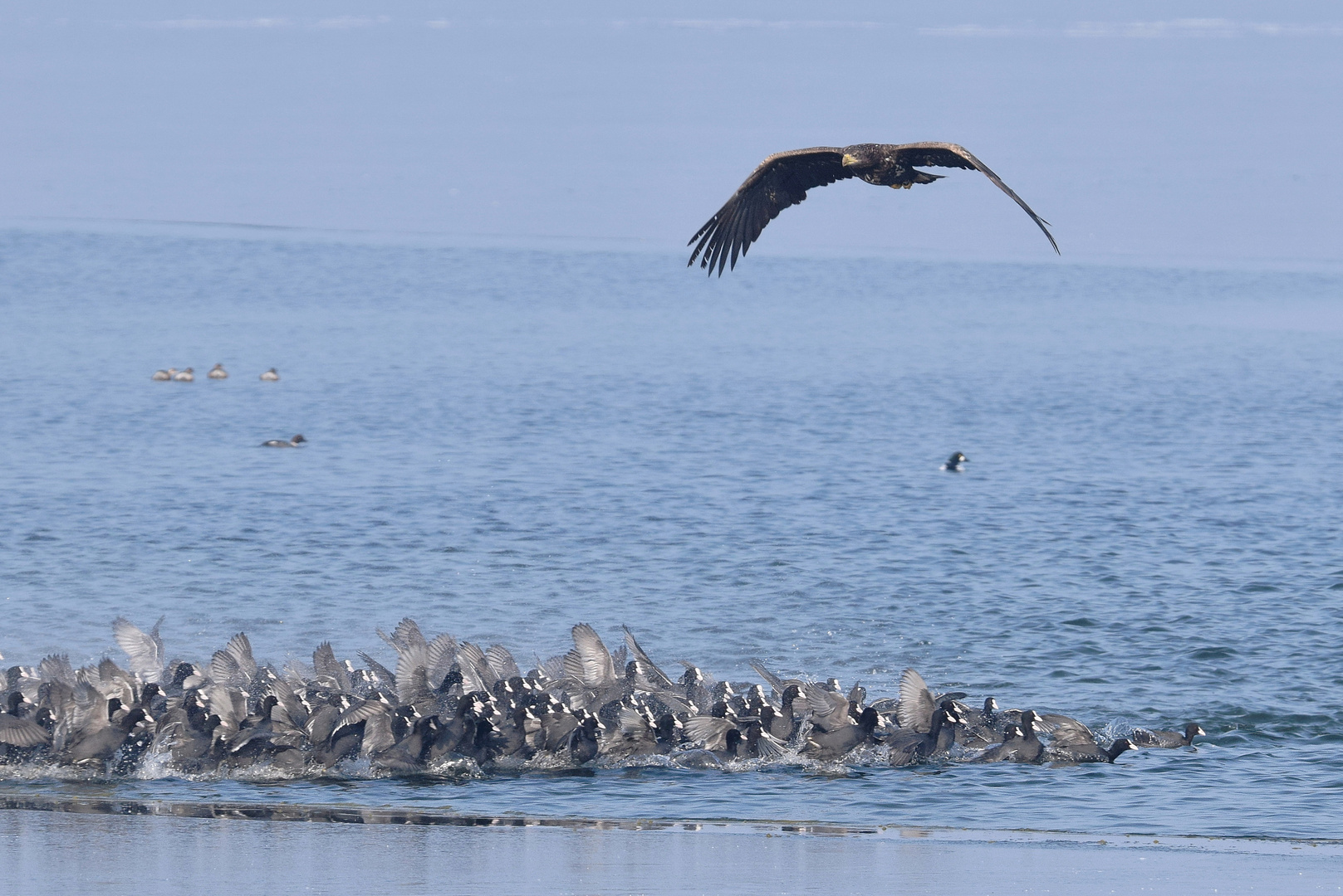 Überflug oder Angriff