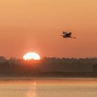 Überflug zu Sonnenaufgang