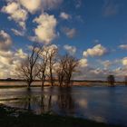 Überflutete Landschaft