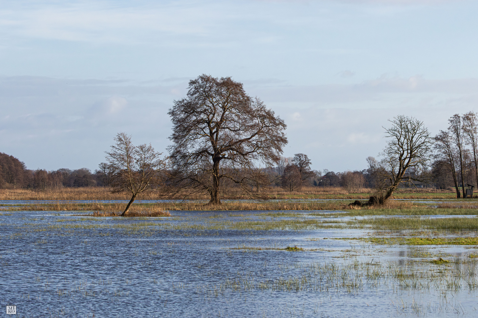 Überflutete Wiesen am Hagenburger Kanal