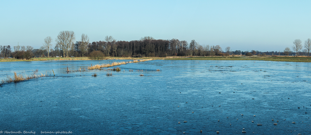 überflutete Wümmewiesen