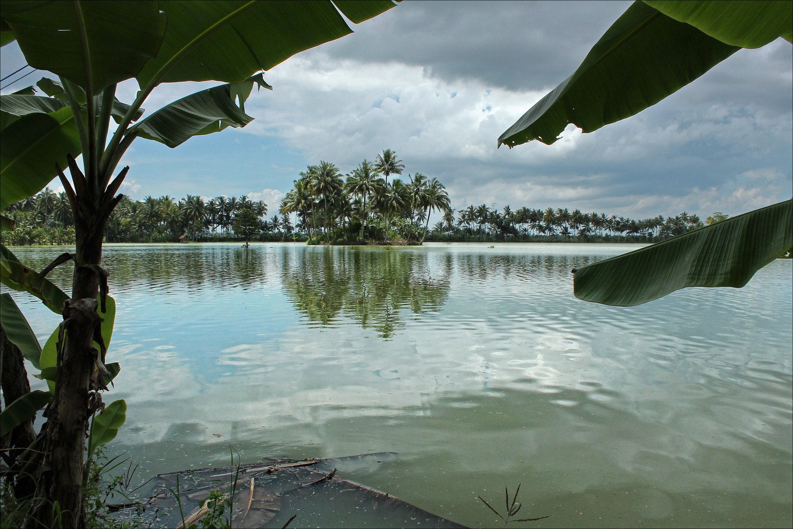 überfluteten Reisfeld bei Padaherang, west-java, indonesien