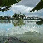 überfluteten Reisfeld bei Padaherang, west-java, indonesien