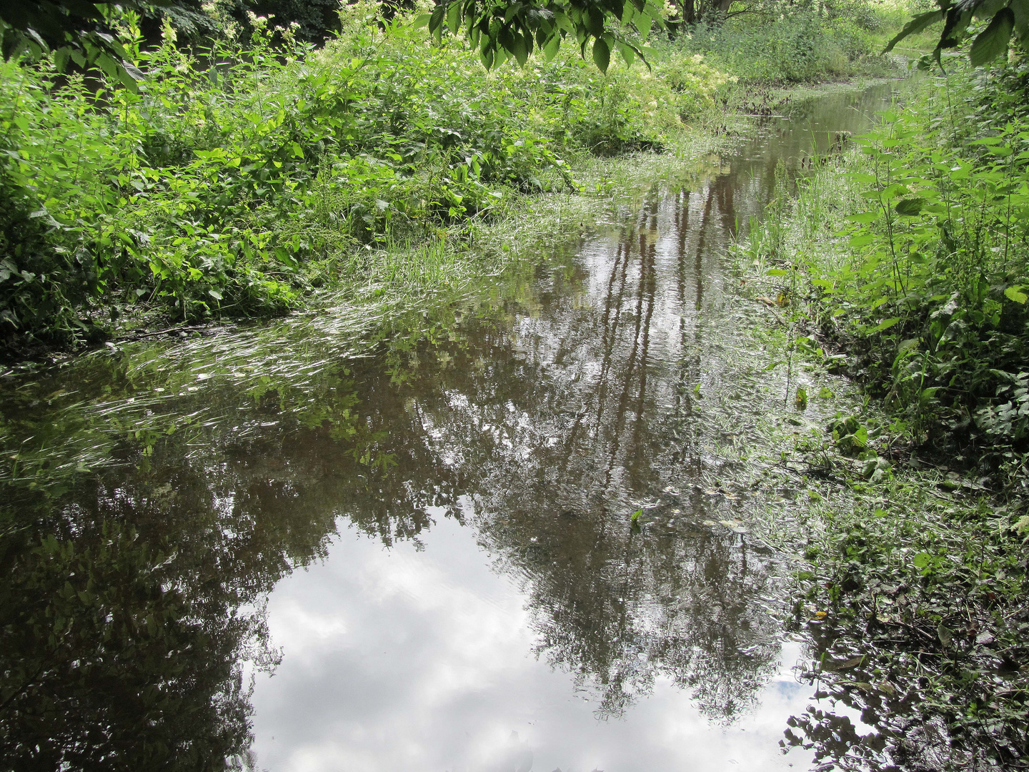 Überfluteter Weg an der Bille