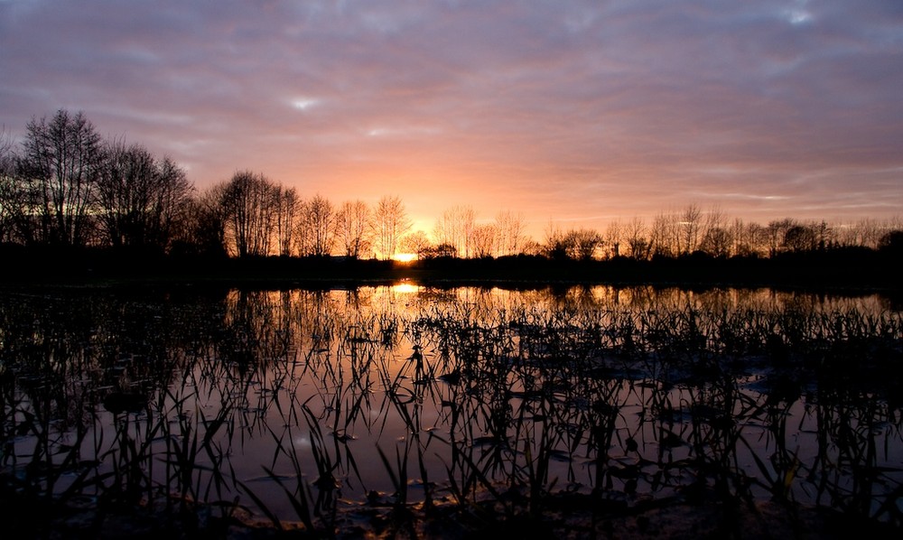 Überflutetes Feld