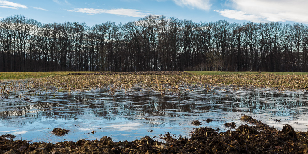 Überflutetes Feld