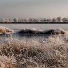 Überflutetes Moor in Wiesmoor