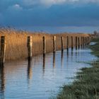 Überflutung am Leuchtturm Falshöft