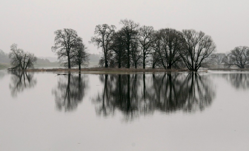 Überflutung der Elbe