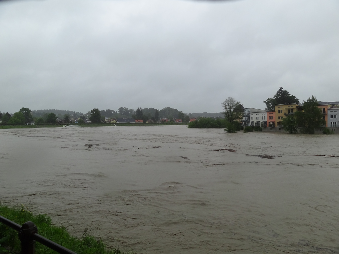 Überflutung Oberndorf-Laufen and der Salzach