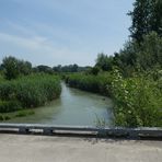 Überflutungskanal an der Donau