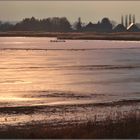 Überflutungspolder an der Ochtum im Abendlicht