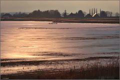 Überflutungspolder an der Ochtum im Abendlicht