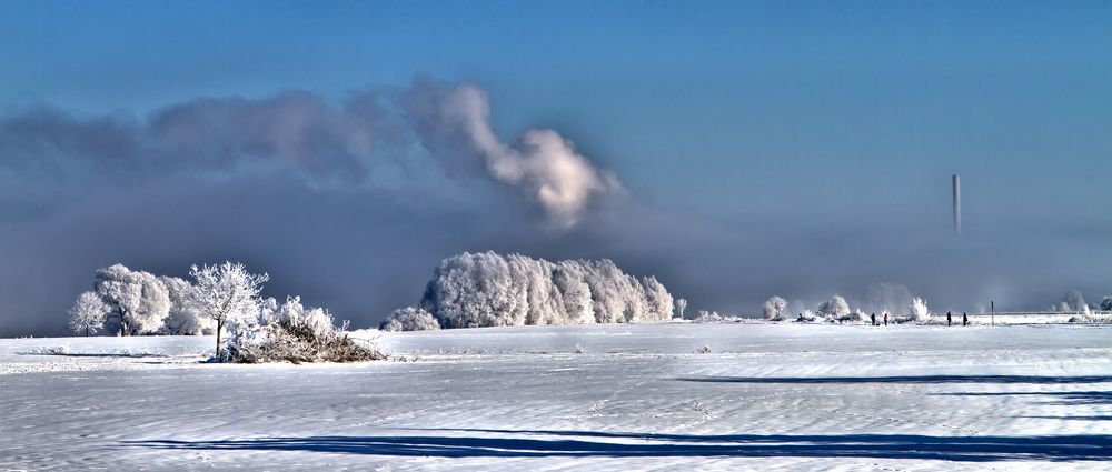 Überflutungswiese Weser