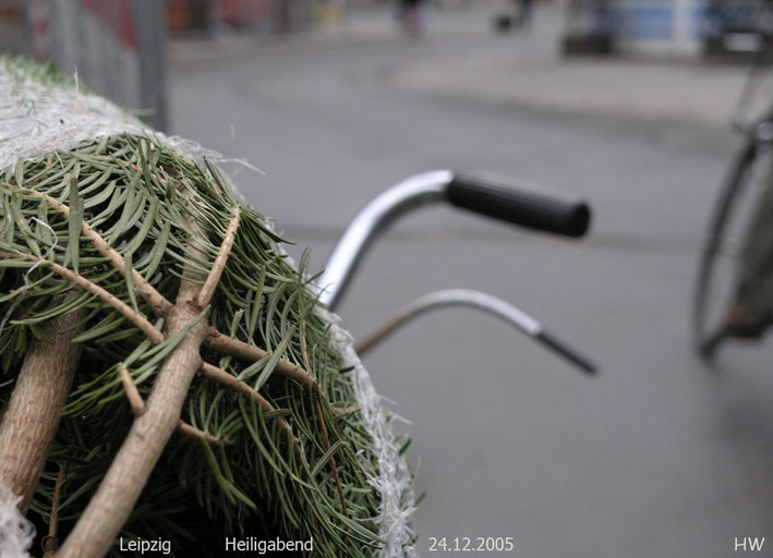 Überführung eines Tannenbaumes