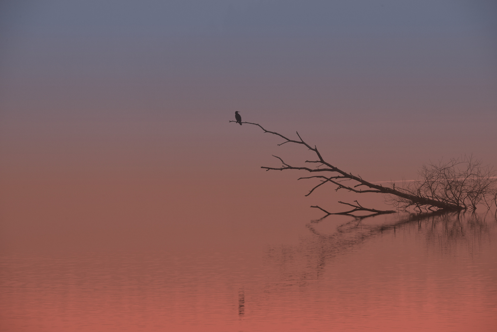 Übergänge im Morgenlicht