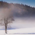 Übergang von kalt auf warm - Bayern679