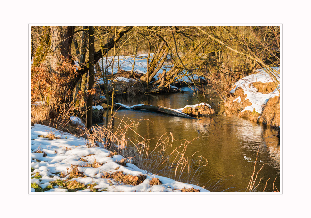 Übergang Winter-Frühling