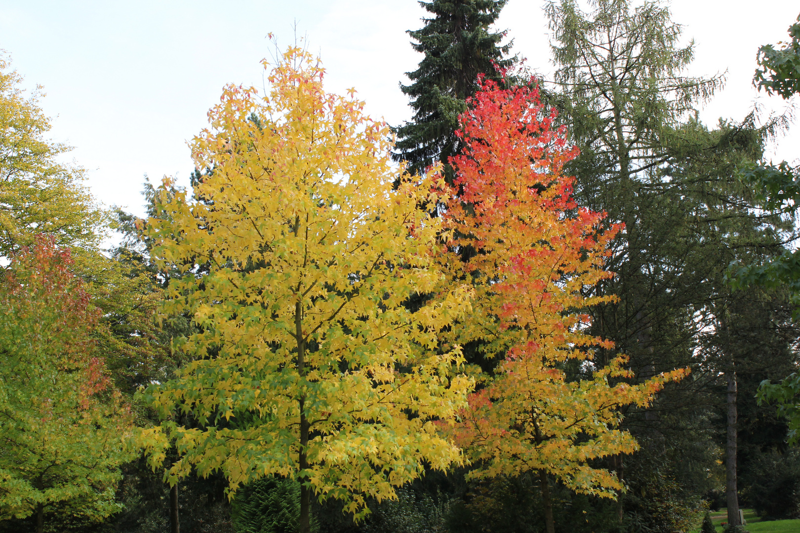 Übergang zu Herbst