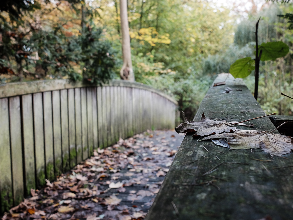 Übergang zum Herbst