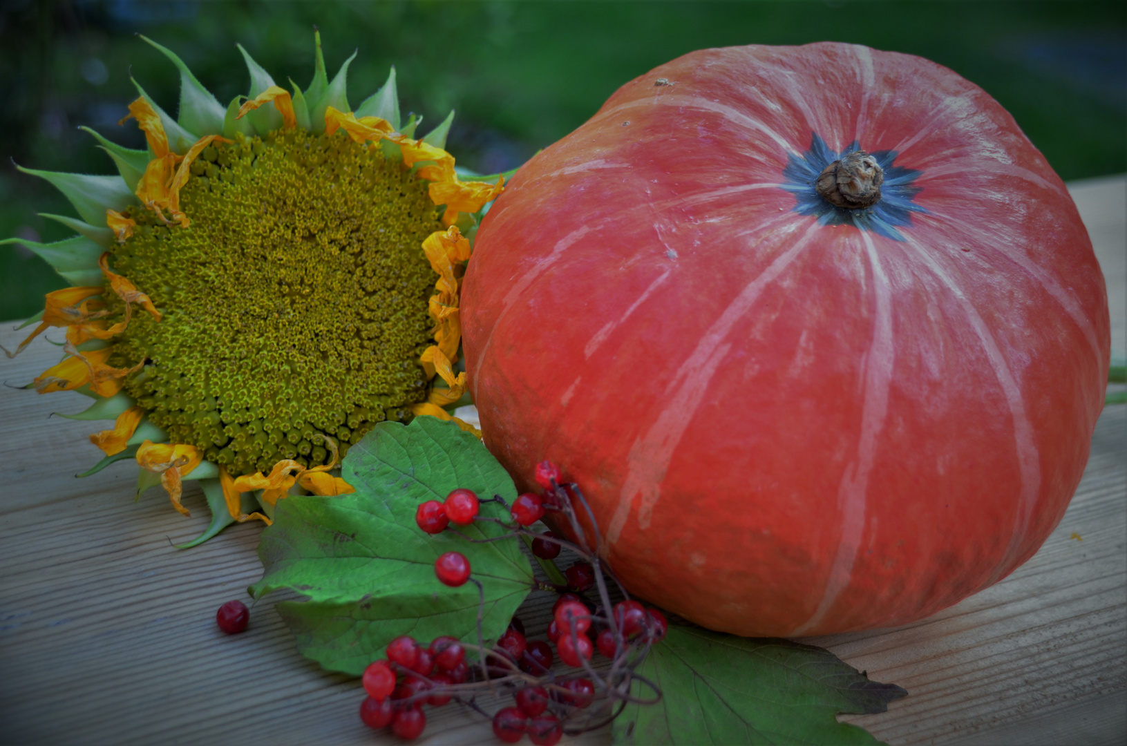 Übergang zum Herbst...