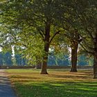 übergangsstimmung vom sommer in den herbst