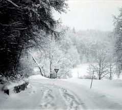 "Übergangszeit mit Wintereinbruch - analog"