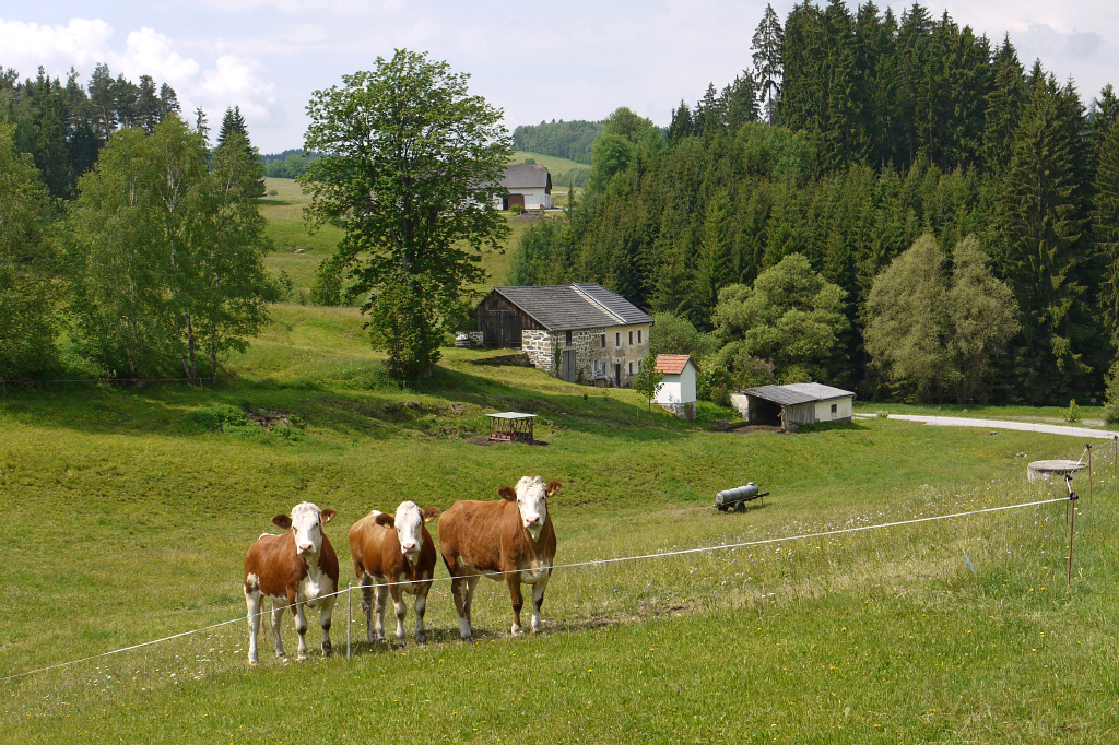 Überhaupt nicht neugierig!