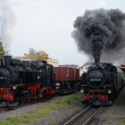 Überholung in Zittau Vorstadt