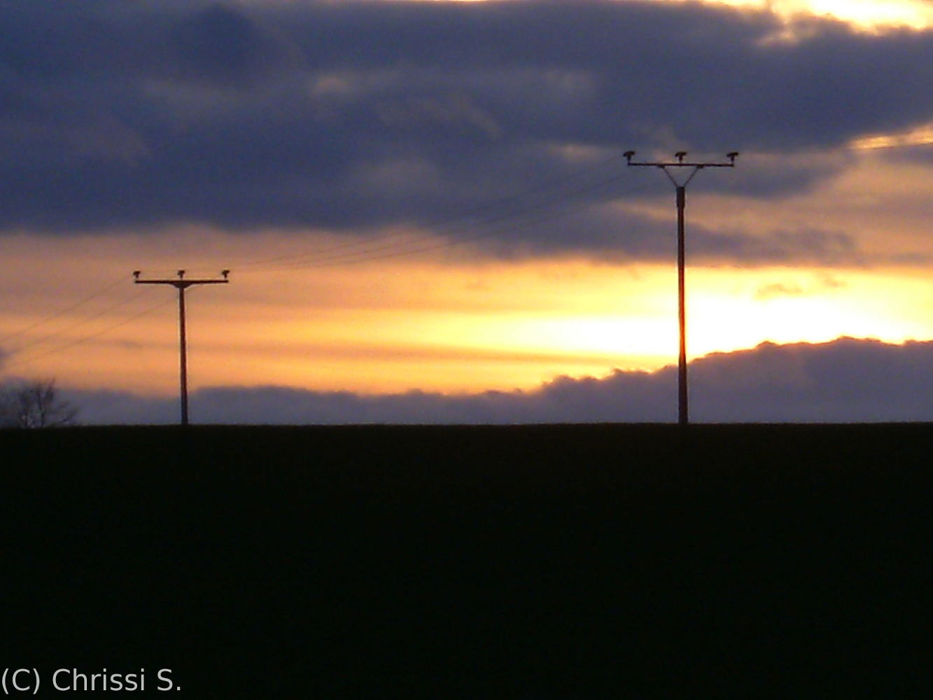 Überlandleitungen im Sonnenuntergang