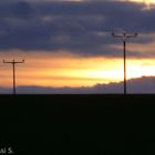 Überlandleitungen im Sonnenuntergang