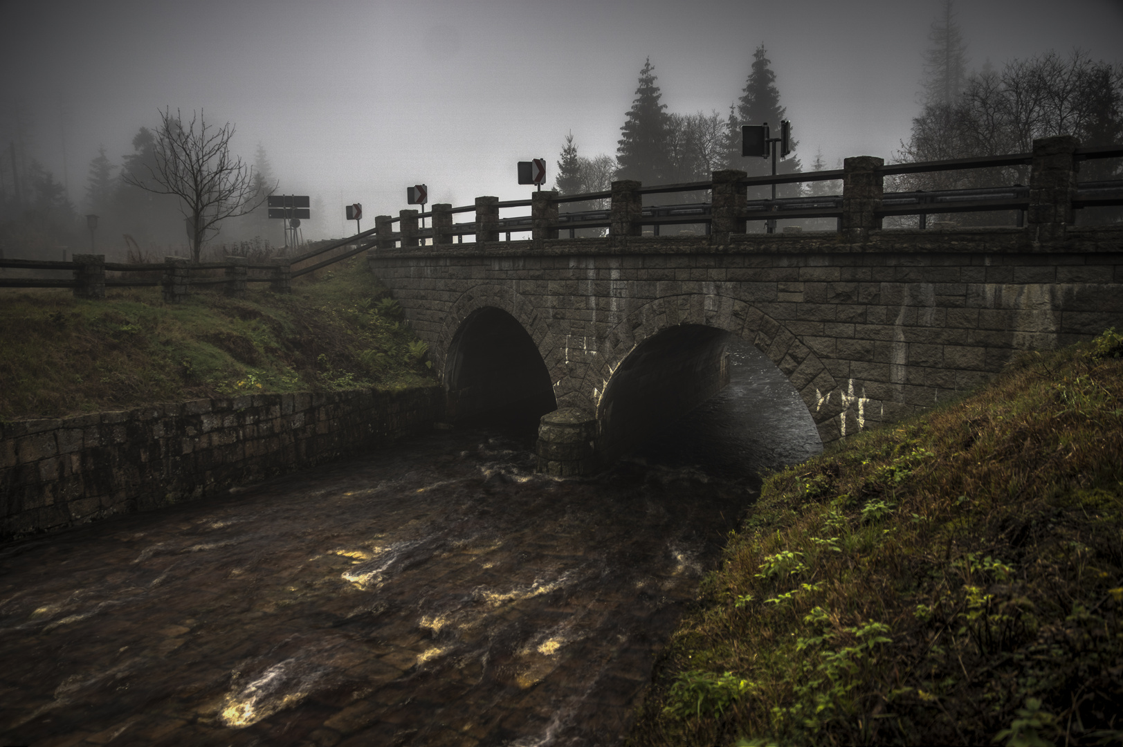 Überlauf am Oderteich im Nebel