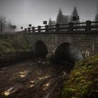 Überlauf am Oderteich im Nebel