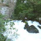 Ueberlauf der Sorgue Quelle (Fontaine de Vaucluse)